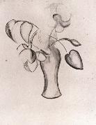 Study of flower